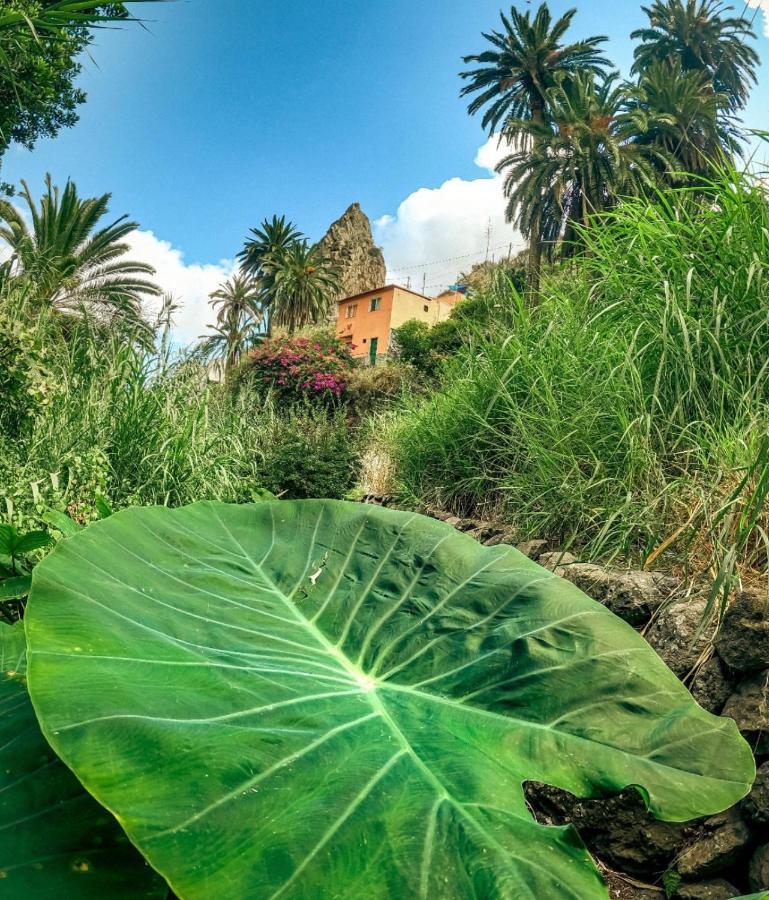 Casa Buganvilla Hermigua Ngoại thất bức ảnh